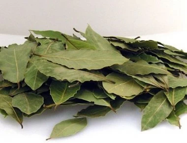 Ο λόγος για να έχετε φύλλα δάφνης στο σπίτι σας!